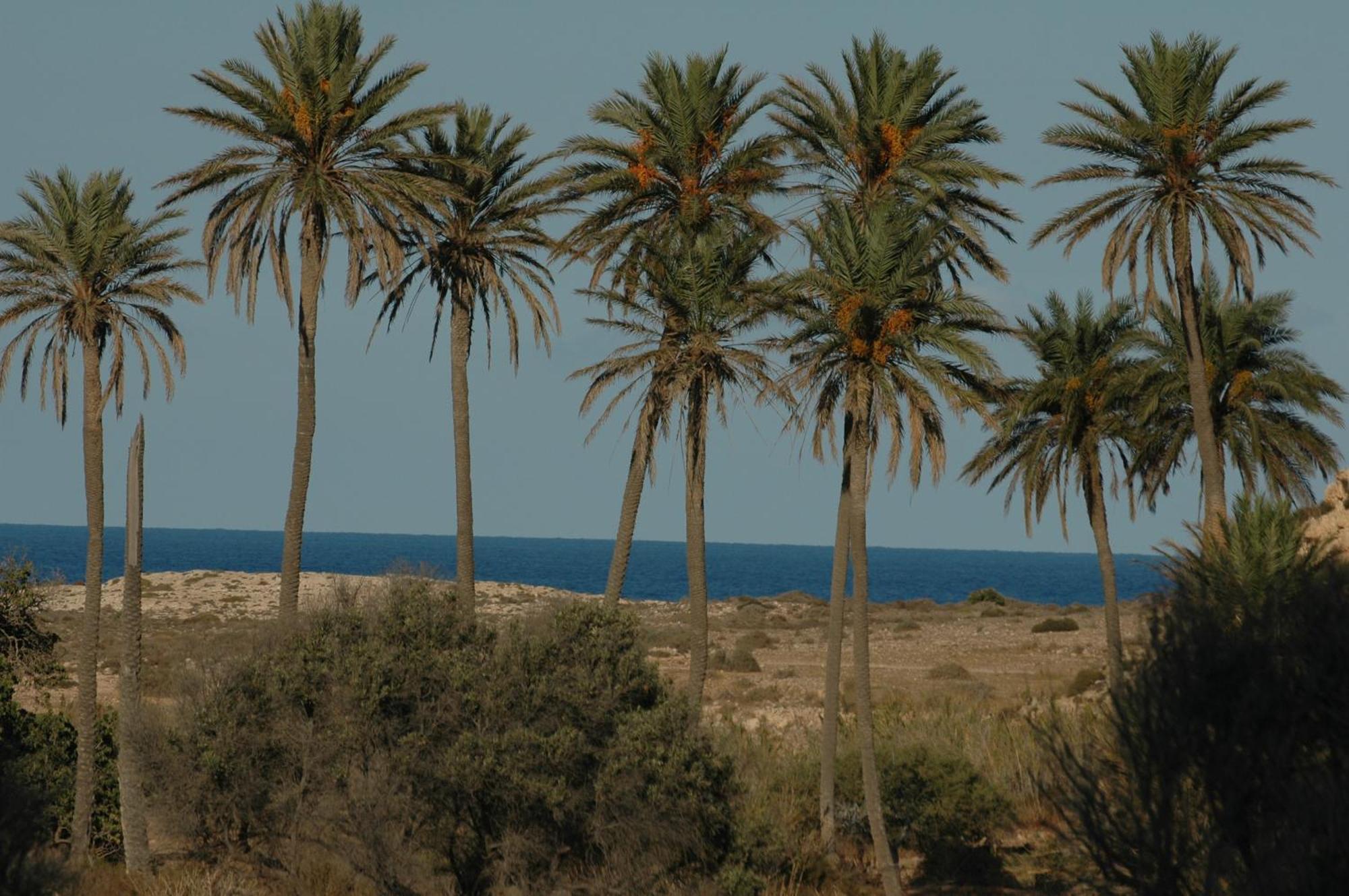 Complejo La Ermita Ξενοδοχείο Rodalquilar Εξωτερικό φωτογραφία