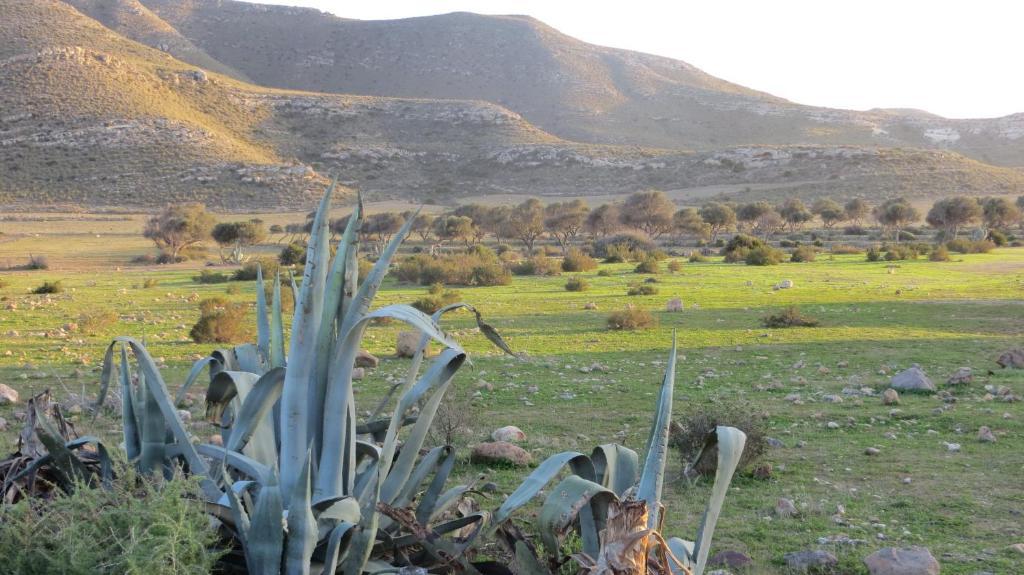 Complejo La Ermita Ξενοδοχείο Rodalquilar Εξωτερικό φωτογραφία